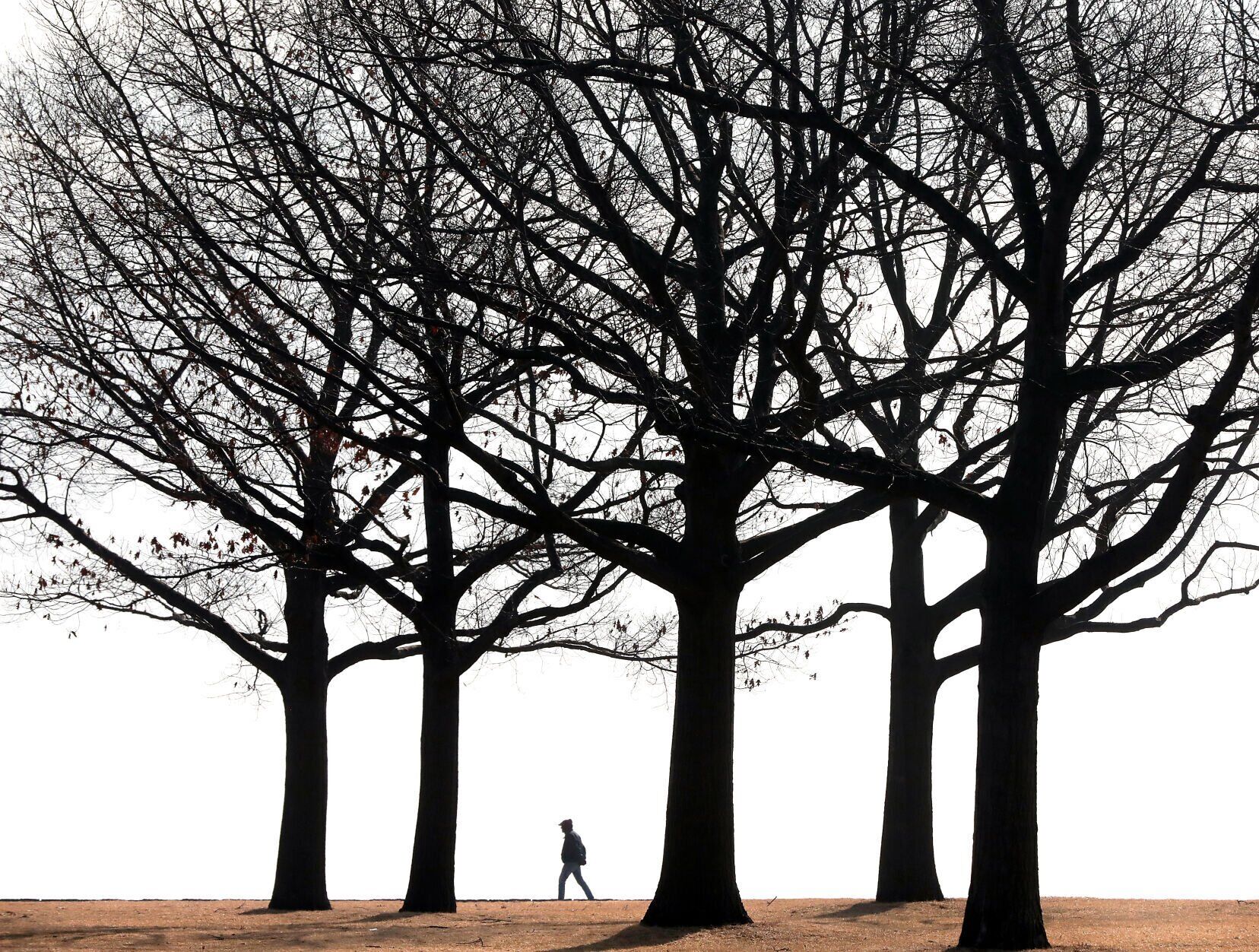 Lakefront Feature.jpg